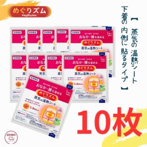 めぐりズム 蒸気の温熱シート 下着の内側面に貼るタイプ 無香料 10枚セット 温熱効果 血行促進 花王 めぐリズム
